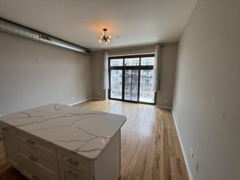 3505 South Morgan Street Chicago IL 60609