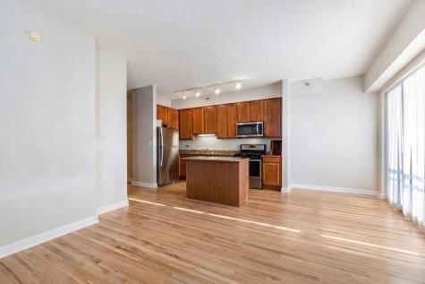 41 East 8th Street Chicago IL 60605
