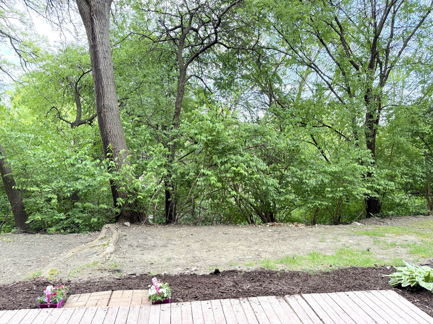 5500 Hillcrest Lane Lisle IL 60532
