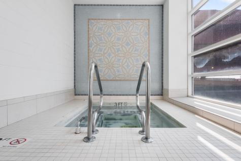 474 North Lake Shore Drive Chicago IL 60611