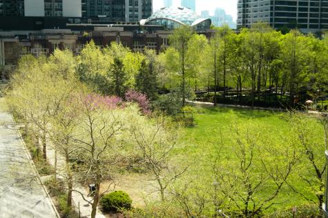 420 East Waterside Drive Chicago IL 60601