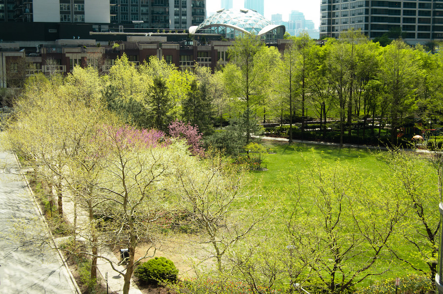 420 East Waterside Drive Chicago IL 60601