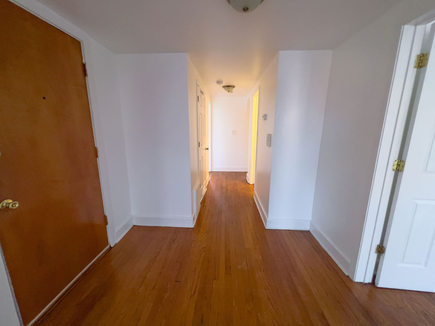 115 East 60th Street Chicago IL 60637