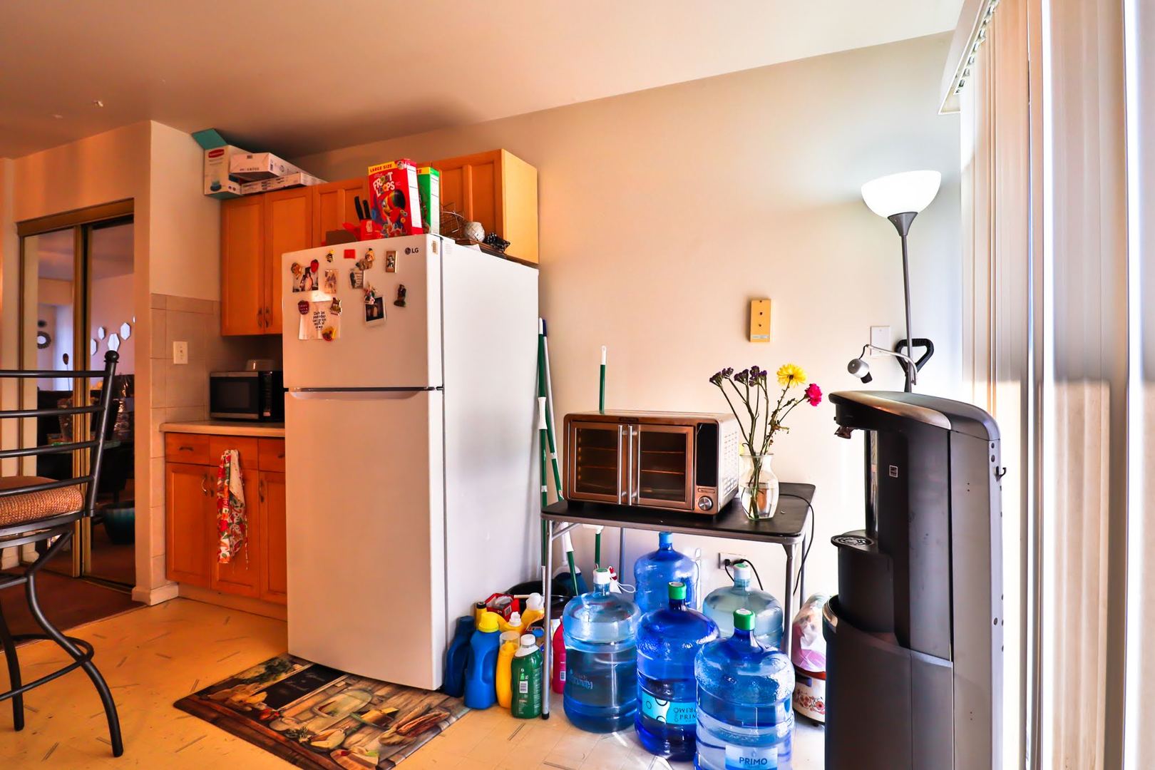 170 Dunteman Drive Glendale Heights IL 60139