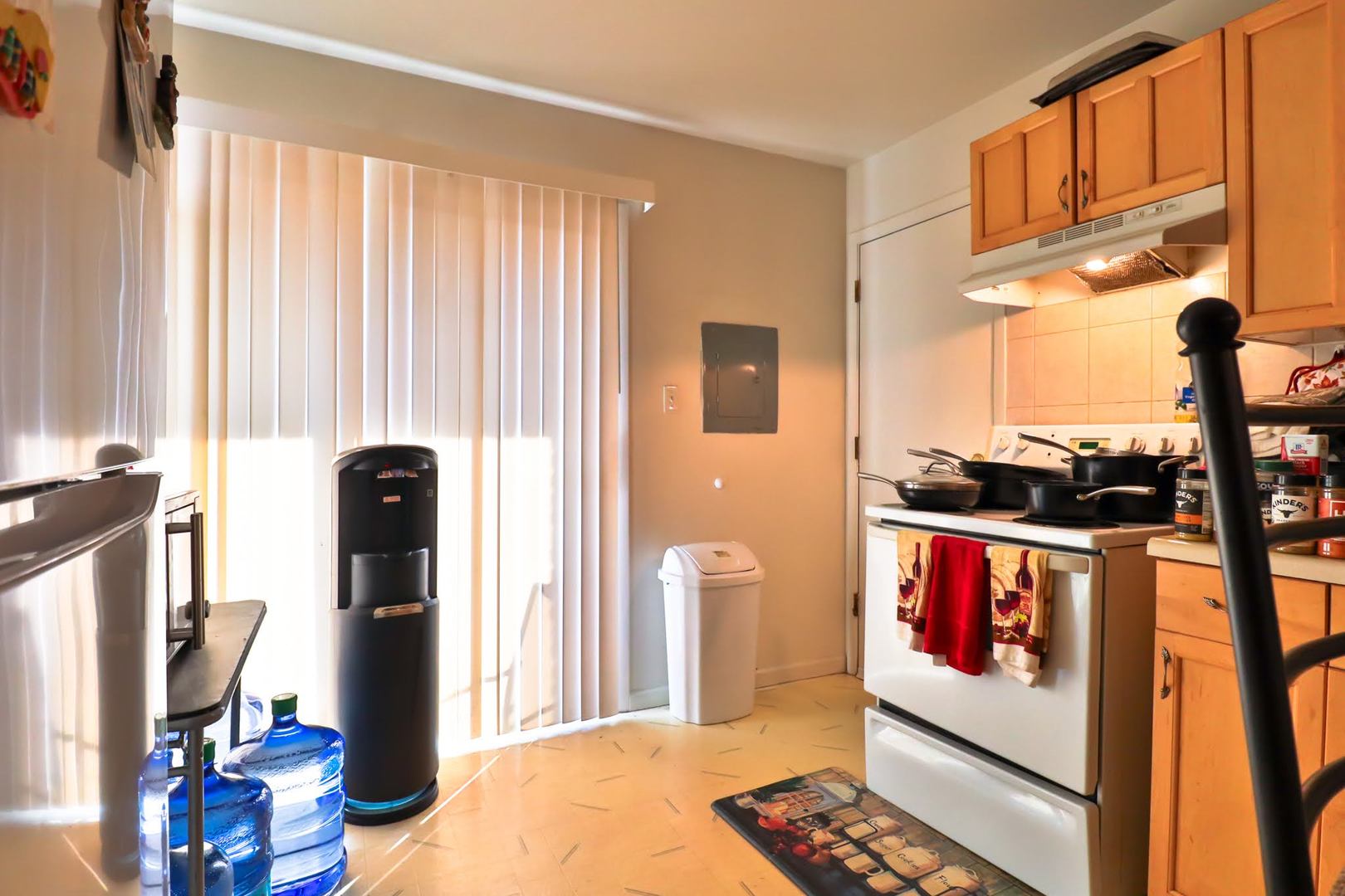 170 Dunteman Drive Glendale Heights IL 60139