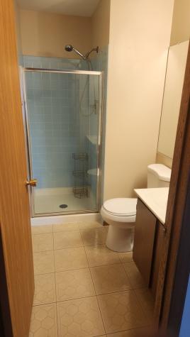 324 Mulberry Court Bartlett IL 60103