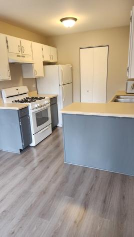 324 Mulberry Court Bartlett IL 60103