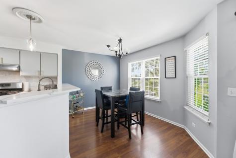 260 West Lynn Drive Palatine IL 60067