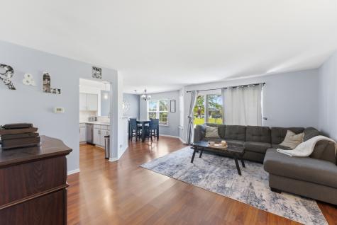 260 West Lynn Drive Palatine IL 60067