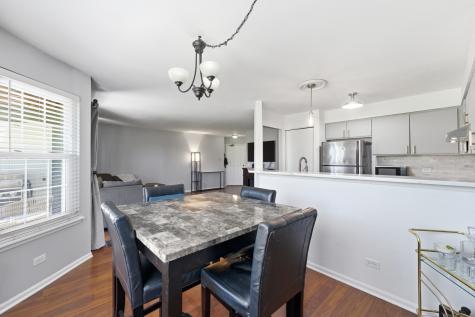 260 West Lynn Drive Palatine IL 60067