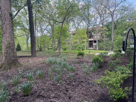 1401 Burr Oak Road Hinsdale IL 60521