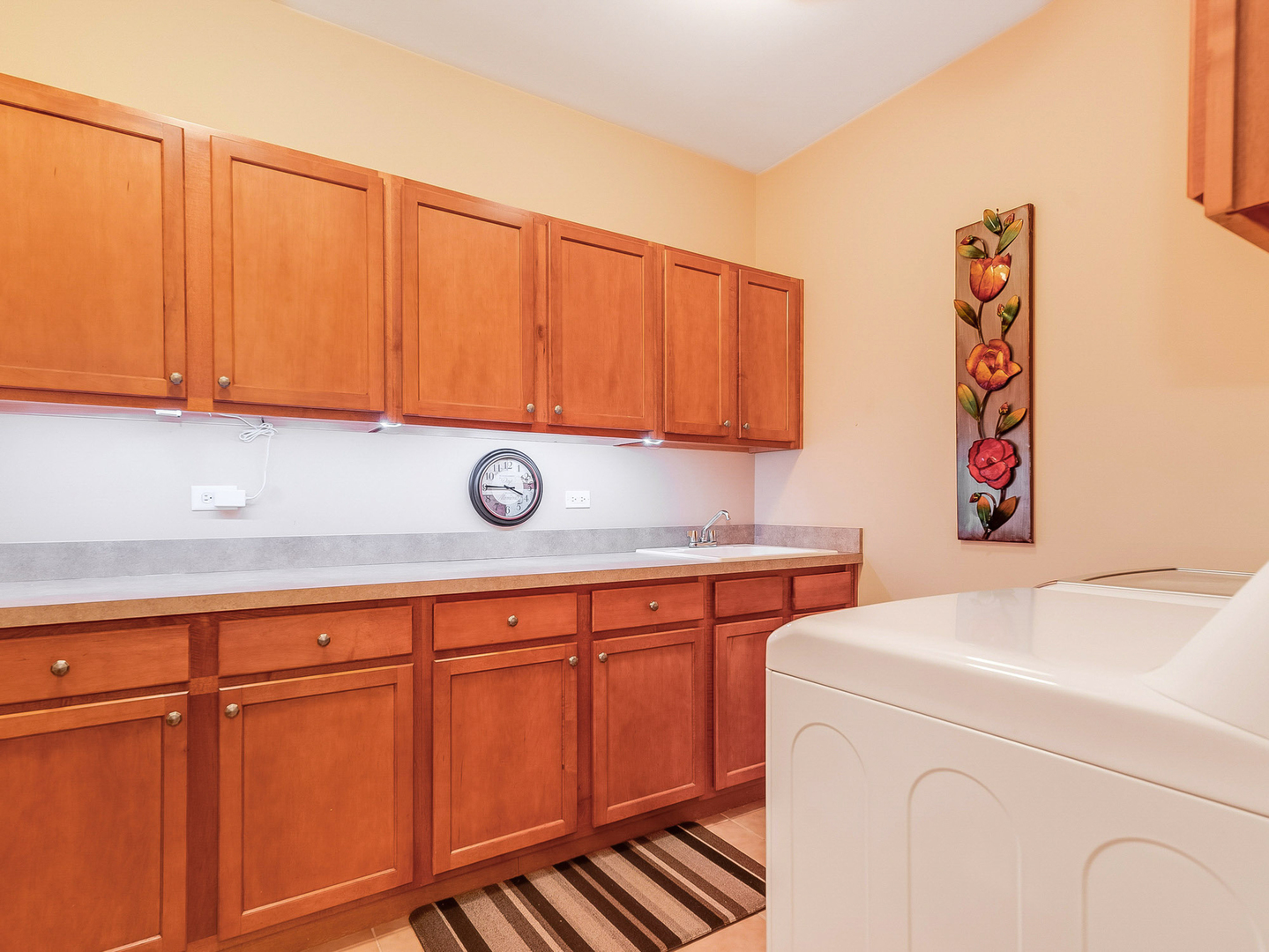 2805 Bond Circle Naperville IL 60563