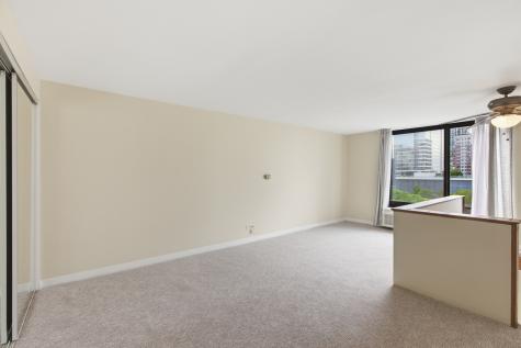 1221 North Dearborn Street Chicago IL 60610