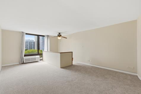 1221 North Dearborn Street Chicago IL 60610