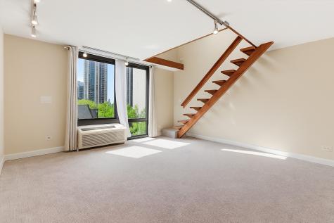 1221 North Dearborn Street Chicago IL 60610