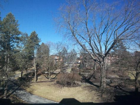 1227 South Old Wilke Road Arlington Heights IL 60005
