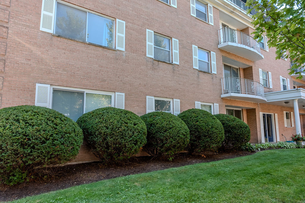 415 Wesley Avenue Oak Park IL 60302