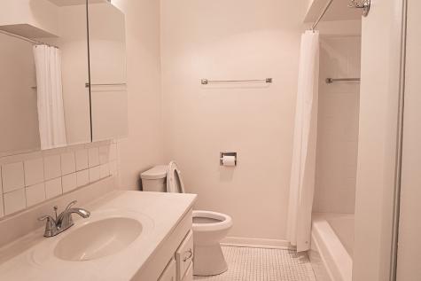 415 Wesley Avenue Oak Park IL 60302