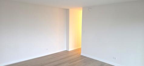 375 Plum Creek Drive Wheeling IL 60090