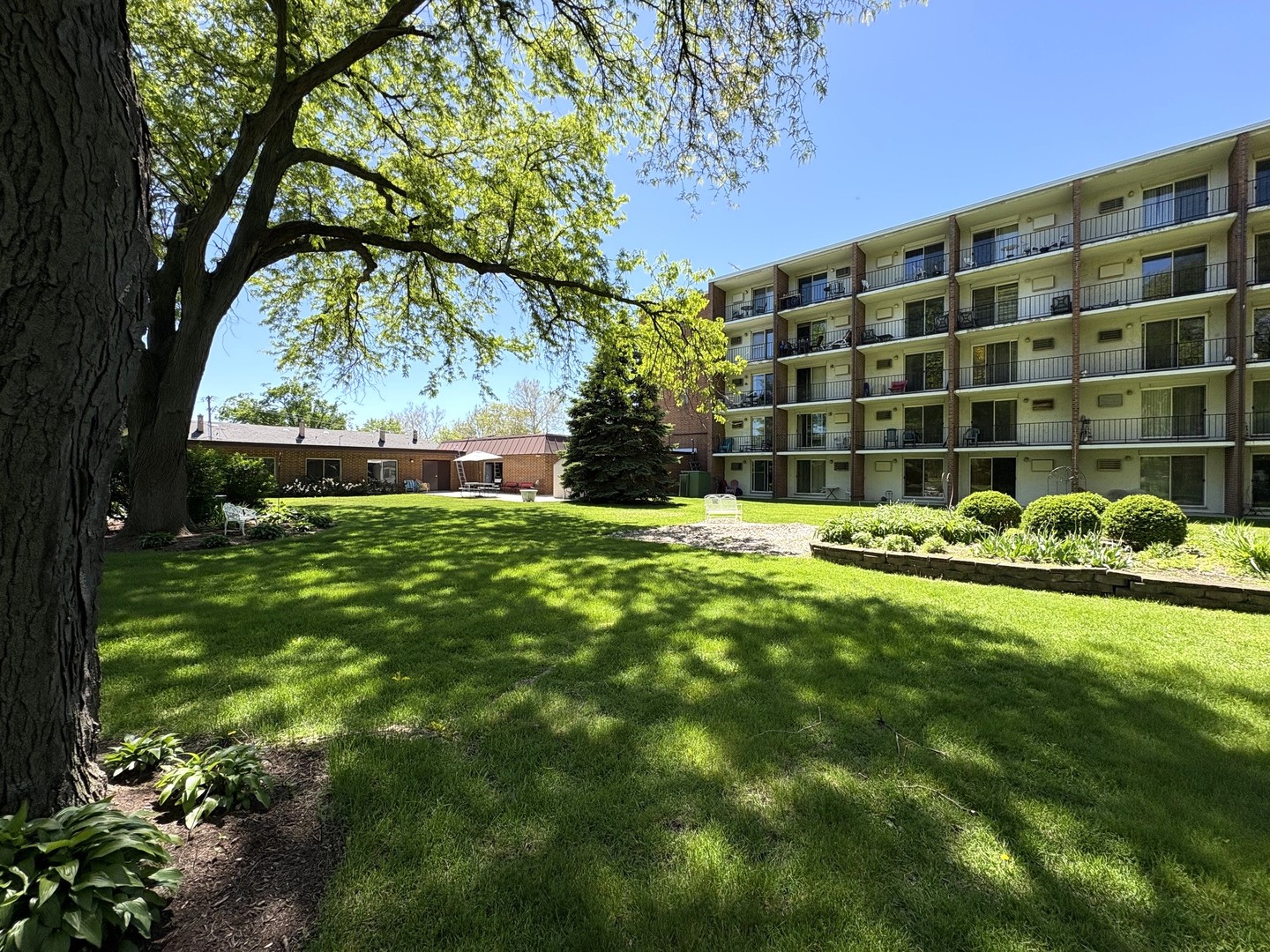 255 South West Avenue S Elmhurst IL 60126
