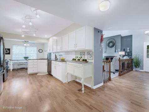 30W032 Laurel Court Warrenville IL 60555