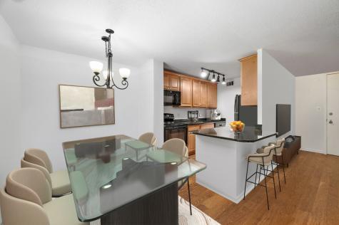 1339 North Dearborn Street Chicago IL 60610