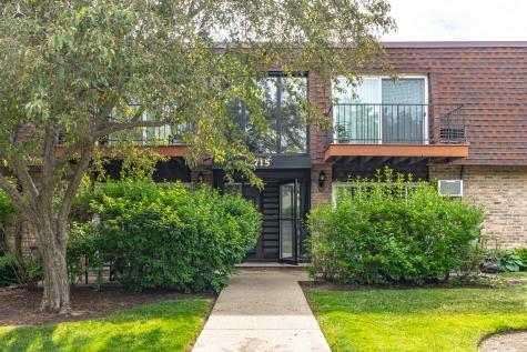 715 Grove Drive Buffalo Grove IL 60089