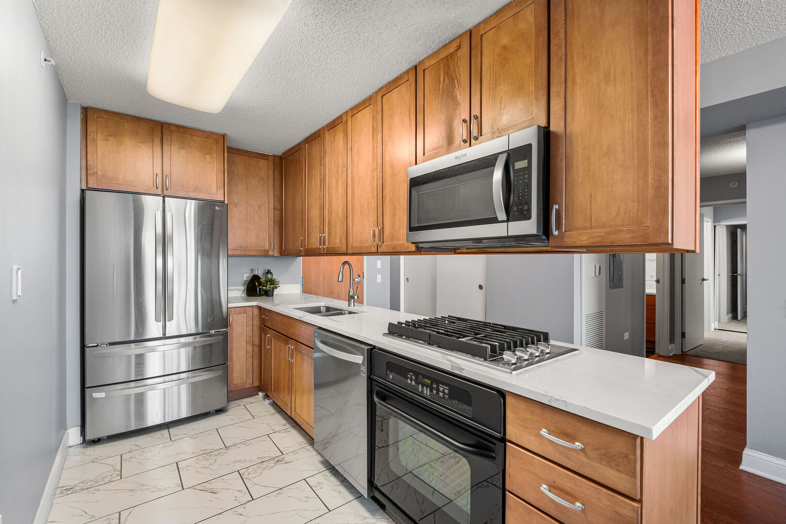 9655 Woods Drive Skokie IL 60077