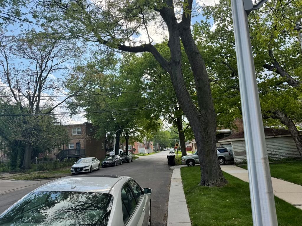 950 East 86th Street Chicago IL 60619