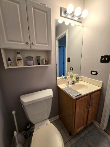6624 Martin France Circle Tinley Park IL 60477