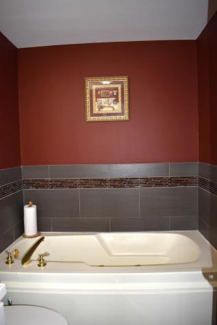451 Town Place Circle Buffalo Grove IL 60089