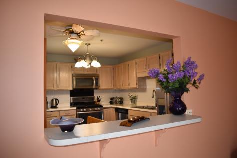 451 Town Place Circle Buffalo Grove IL 60089
