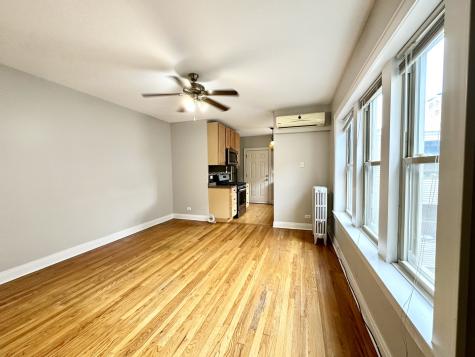 3253 West Olive Avenue Chicago IL 60659