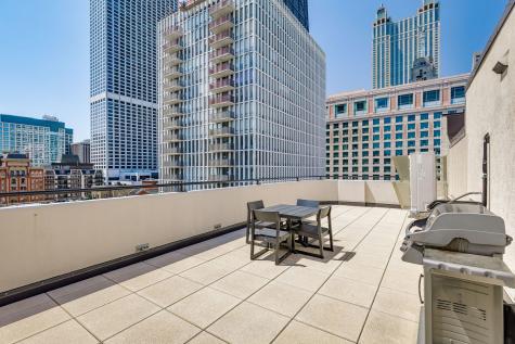 221 East Walton Place Chicago IL 60611