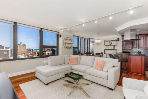 221 East Walton Place Chicago IL 60611