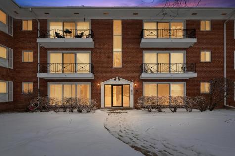 10115 Old Orchard Court Skokie IL 60076