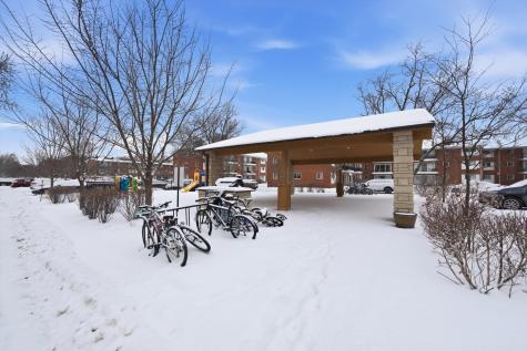 10115 Old Orchard Court Skokie IL 60076