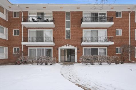 10115 Old Orchard Court Skokie IL 60076