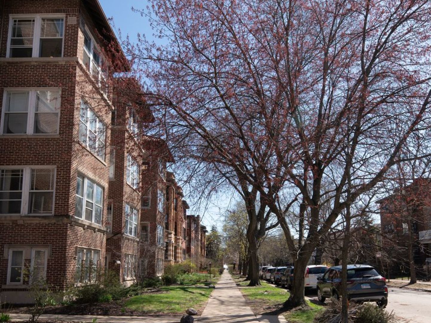 1260 West Columbia Avenue Chicago IL 60626