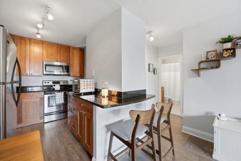 450 West Briar Place Chicago IL 60657