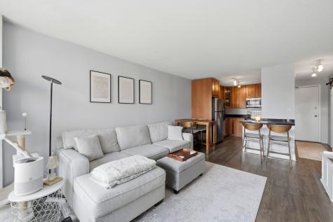 450 West Briar Place Chicago IL 60657