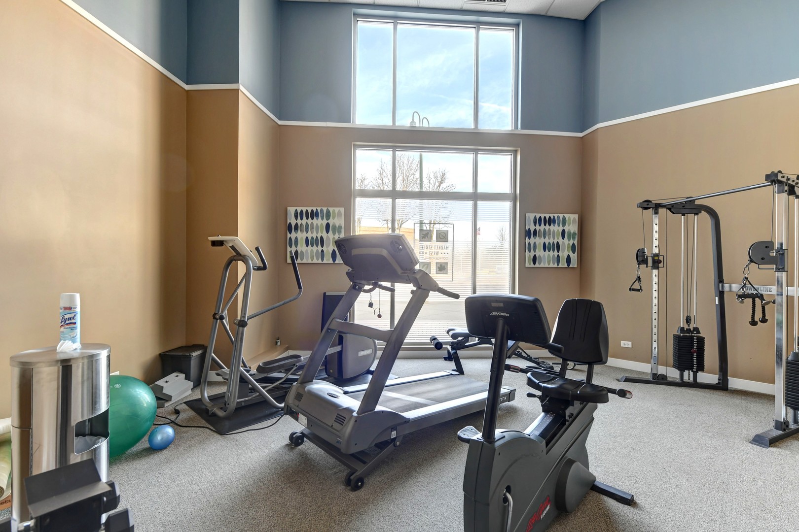 300 Village Circle Willow Springs IL 60480