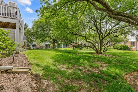 236 Norfolk Court Roselle IL 60172