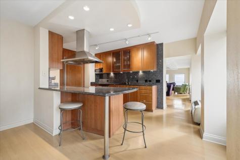 1100 North Lake Shore Drive Chicago IL 60611