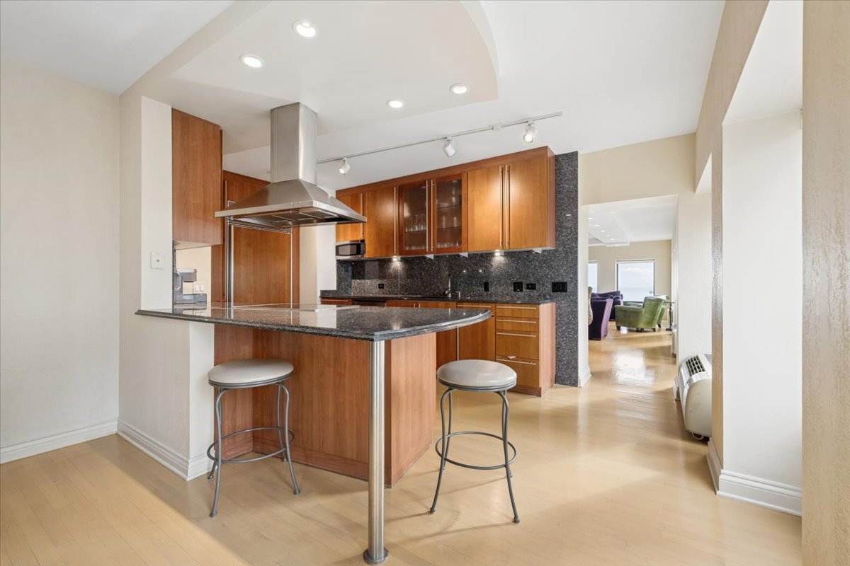 1100 North Lake Shore Drive Chicago IL 60611