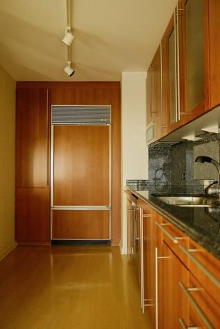 1100 North Lake Shore Drive Chicago IL 60611