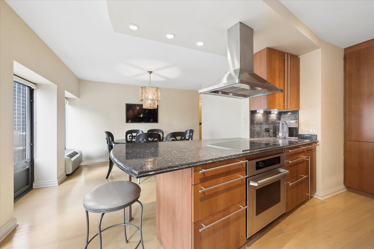 1100 North Lake Shore Drive Chicago IL 60611