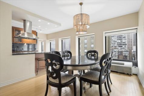 1100 North Lake Shore Drive Chicago IL 60611