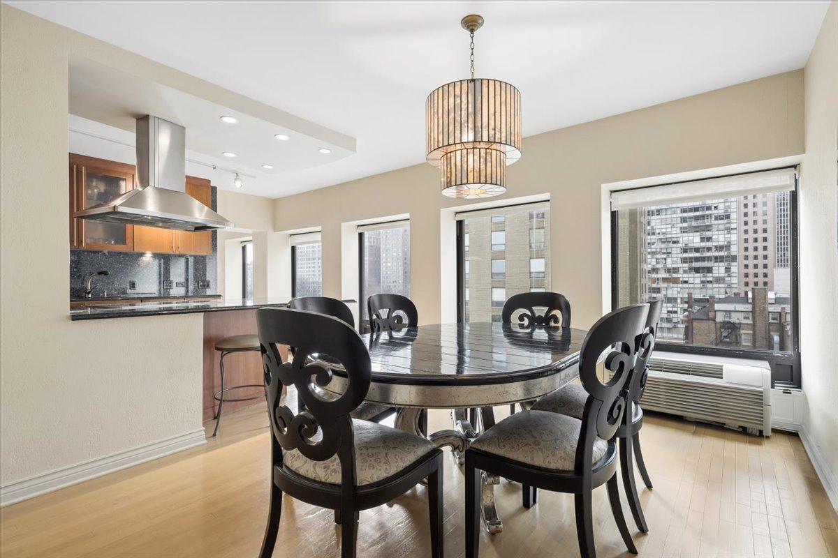 1100 North Lake Shore Drive Chicago IL 60611