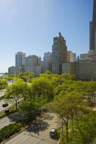 1100 North Lake Shore Drive Chicago IL 60611
